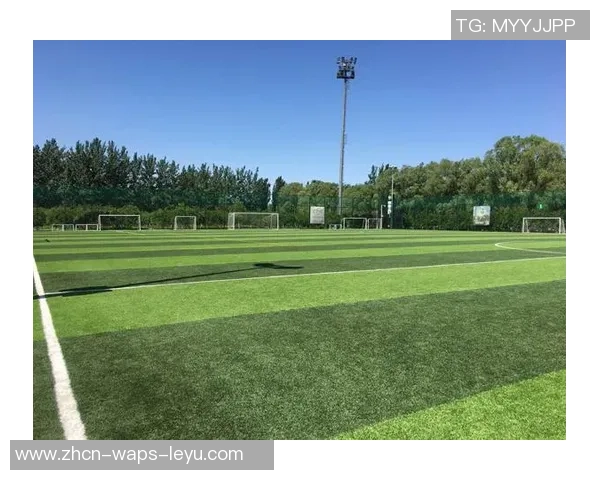 奥森公园足球场周边休闲活动推荐与亲子互动体验指南 奥森公园足球场周边休闲活动推荐与亲子互动体验指南